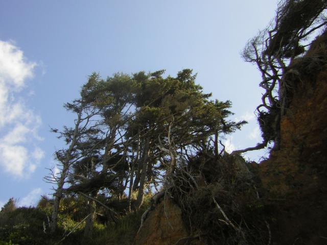 DSCN0244.jpg