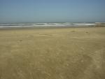 DSCN0246.jpg