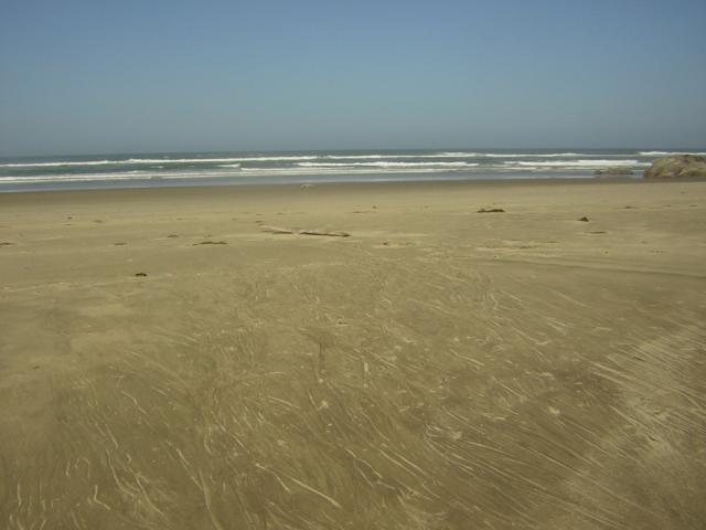 DSCN0246.jpg