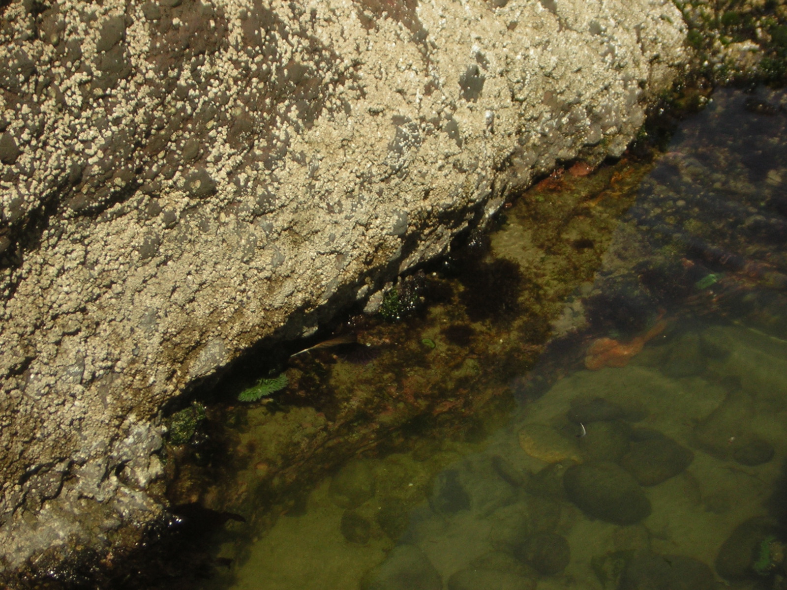 DSCN0248.jpg