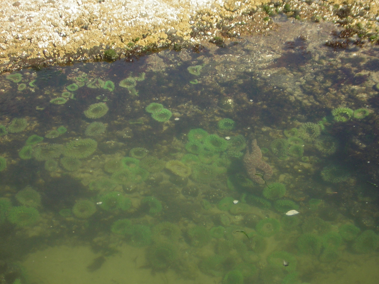 DSCN0249.jpg