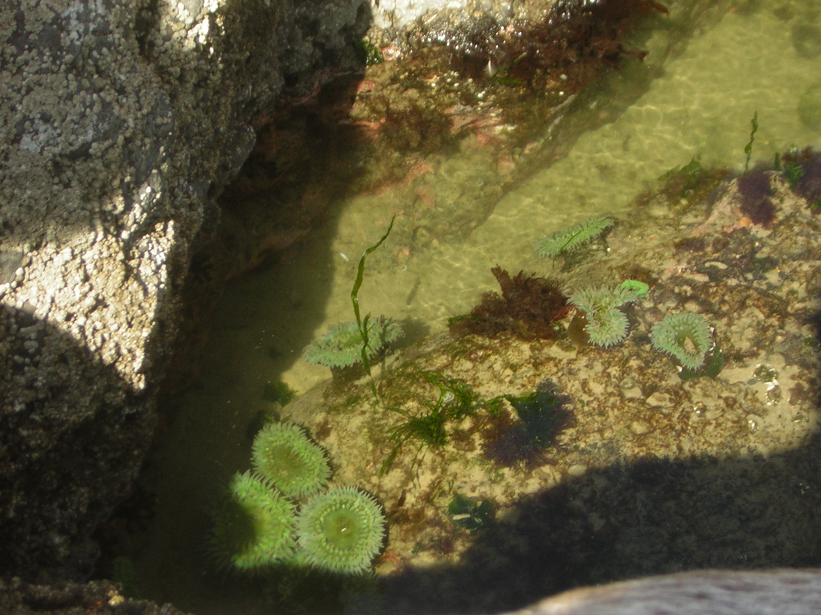 DSCN0250.jpg
