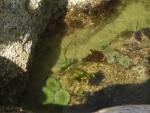 DSCN0250.jpg