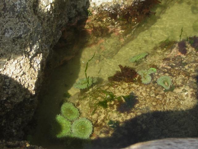 DSCN0250.jpg