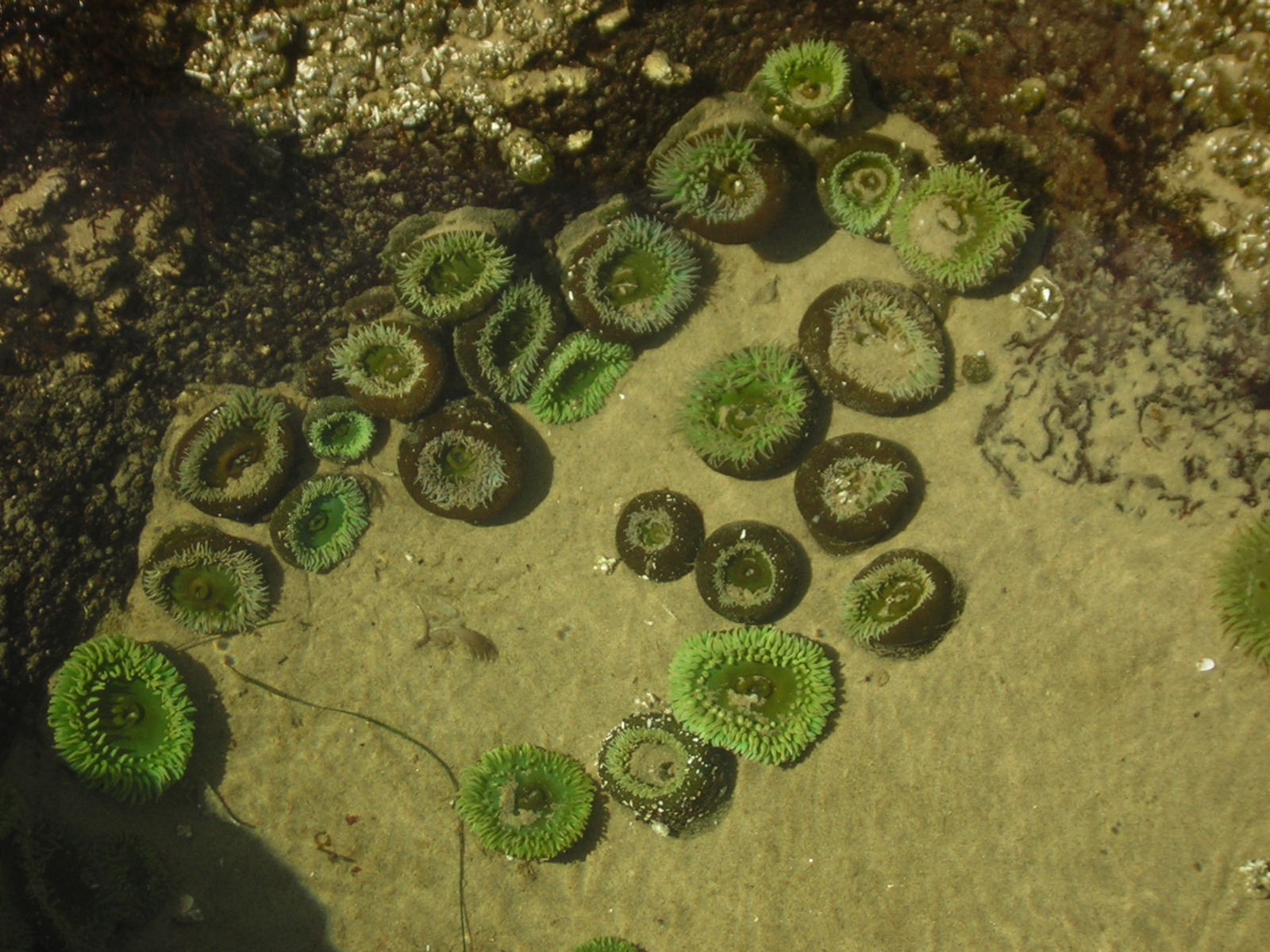 DSCN0251.jpg
