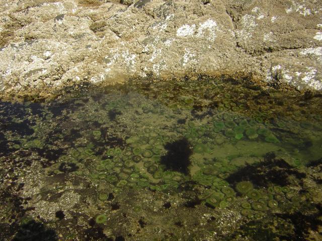DSCN0252.jpg