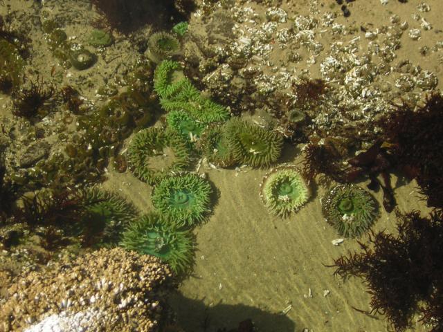 DSCN0253.jpg