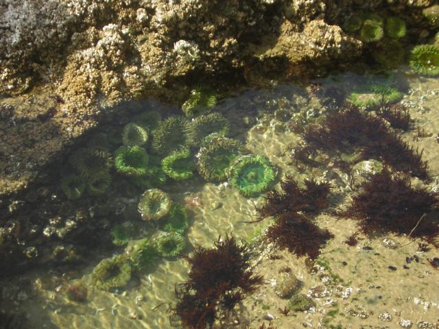 DSCN0254.jpg