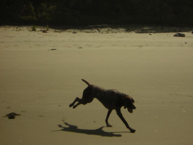 DSCN0258.jpg