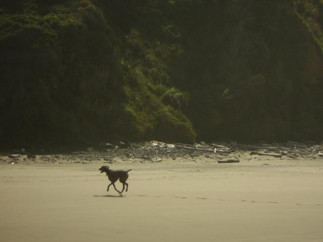DSCN0259.jpg