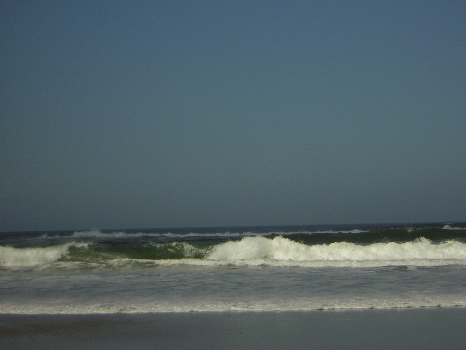 DSCN0260.jpg