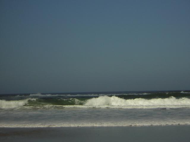DSCN0260.jpg