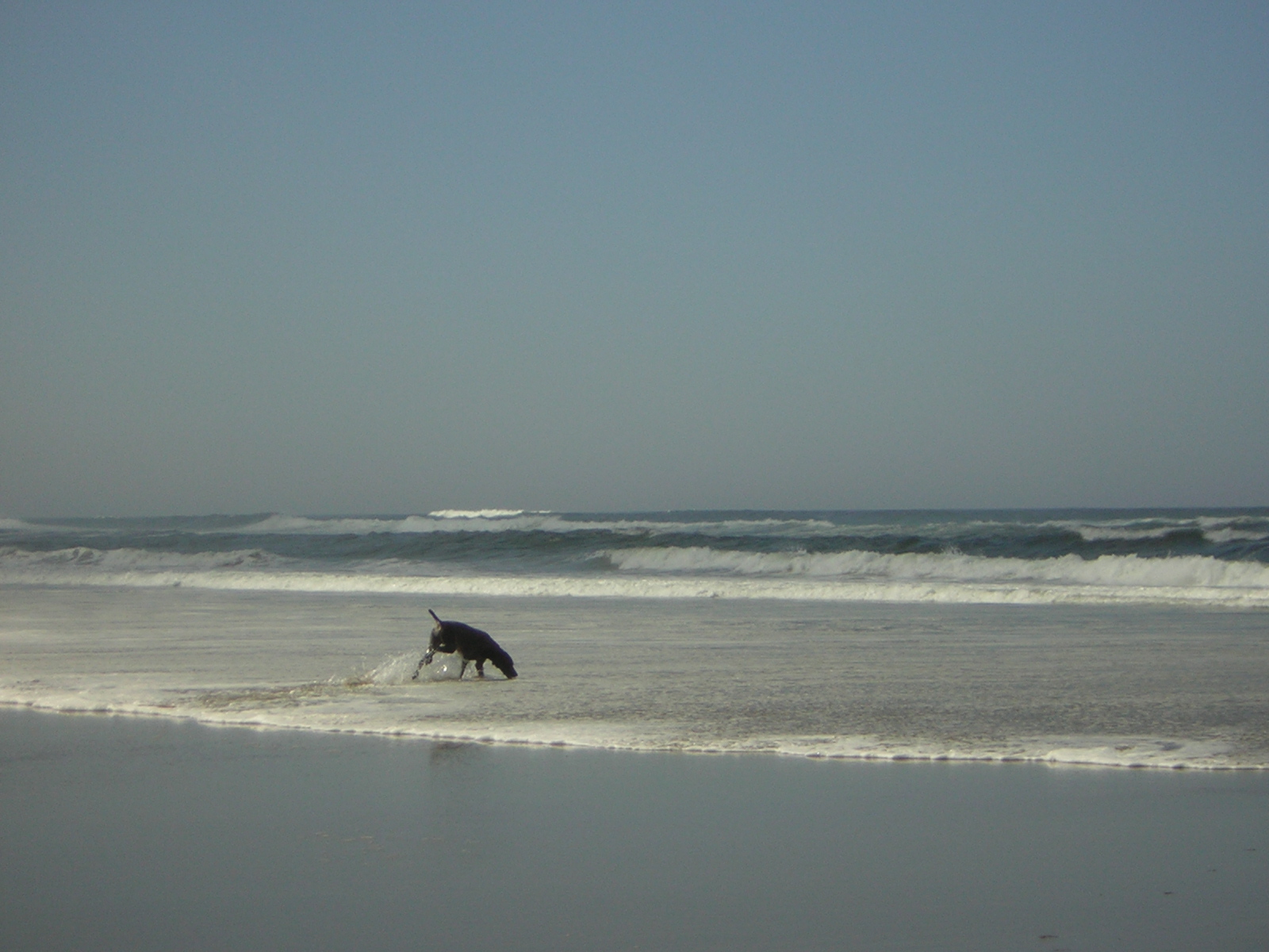 DSCN0261.jpg