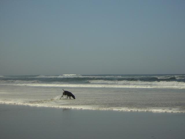 DSCN0261.jpg