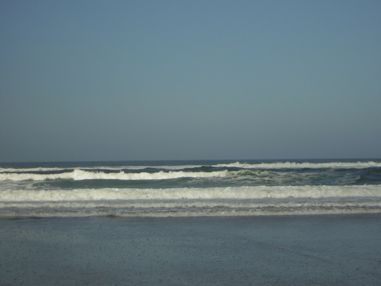 DSCN0262.jpg