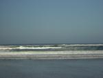 DSCN0262.jpg