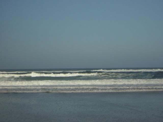 DSCN0262.jpg