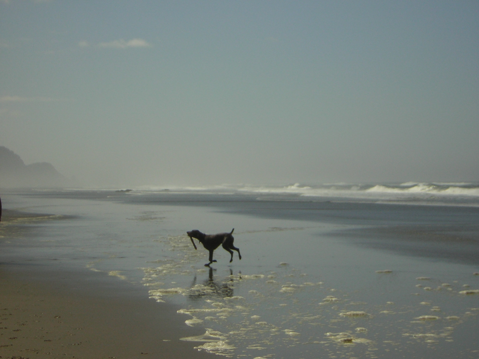 DSCN0264.jpg