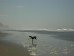 DSCN0264.jpg