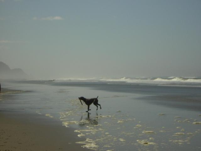 DSCN0264.jpg