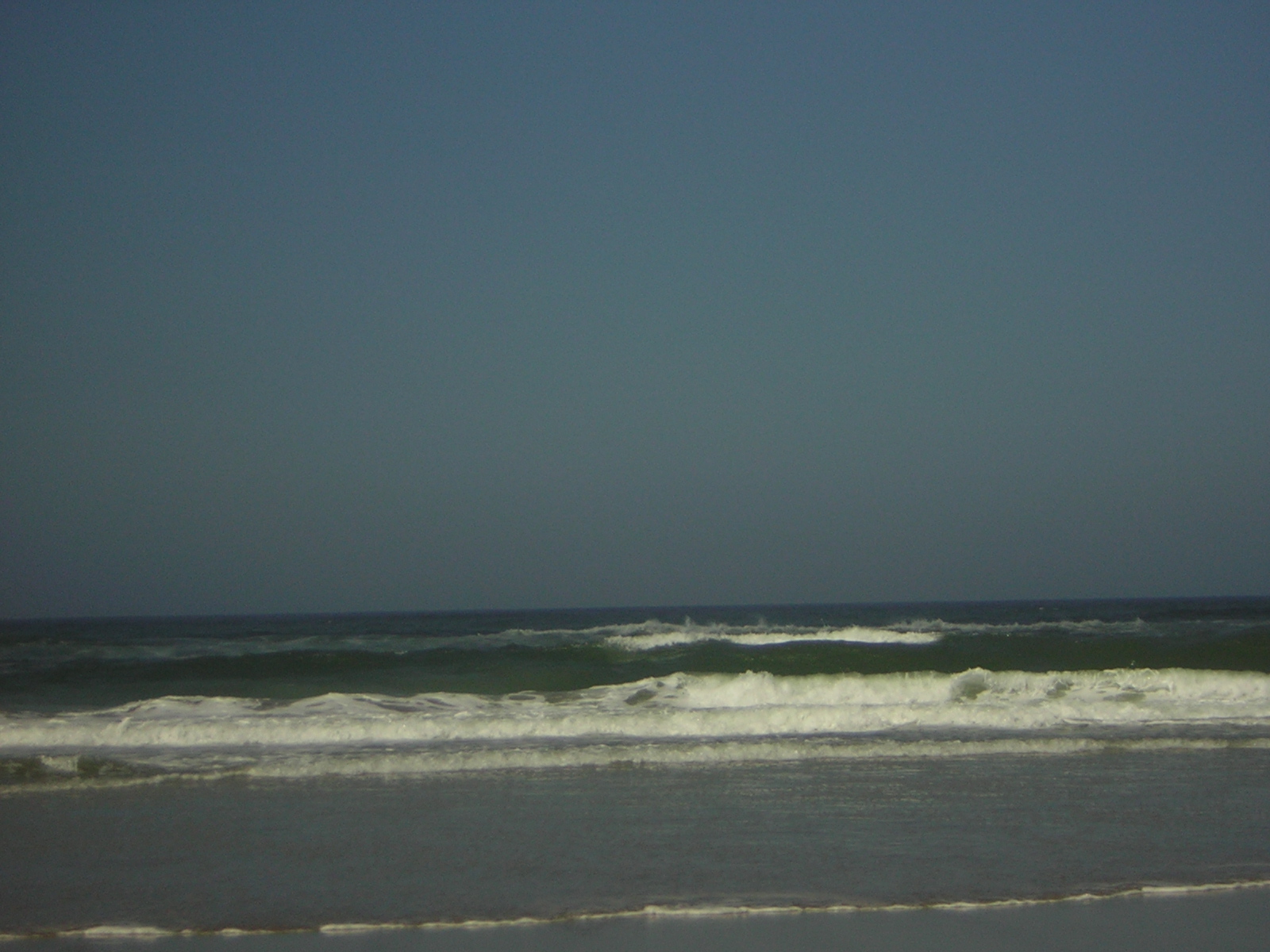 DSCN0266.jpg
