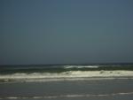 DSCN0266.jpg