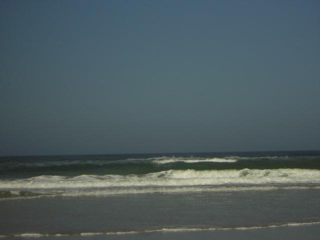 DSCN0266.jpg