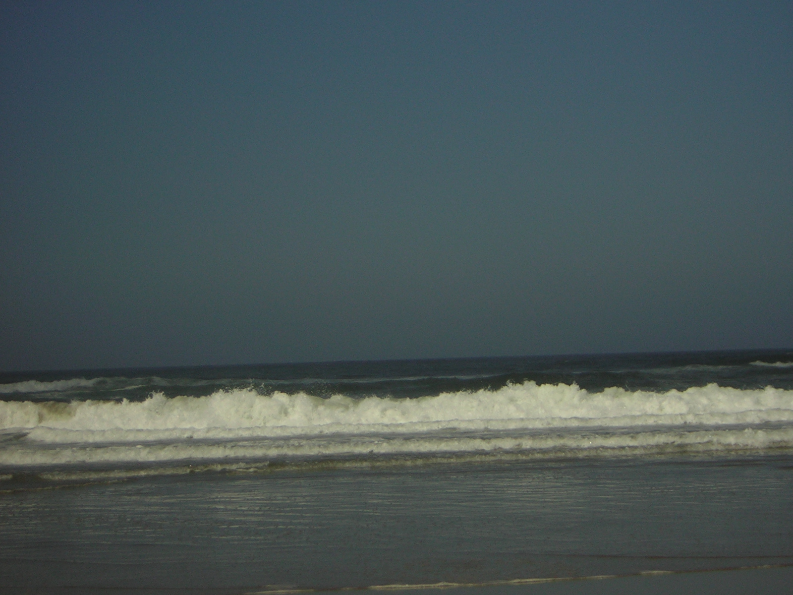 DSCN0267.jpg