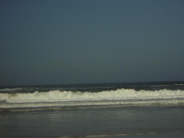 DSCN0267.jpg
