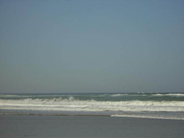 DSCN0268.jpg