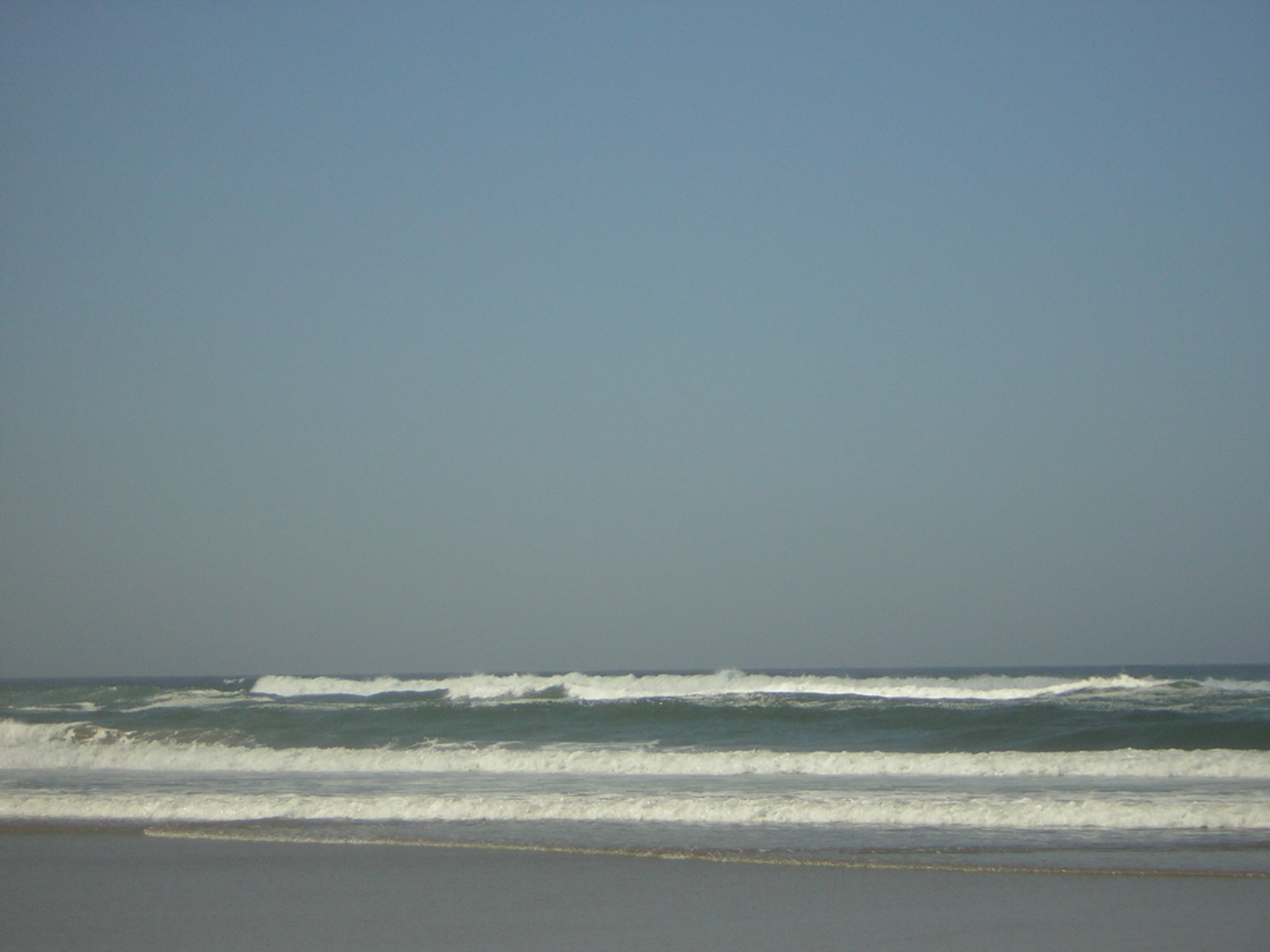 DSCN0269.jpg