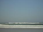 DSCN0269.jpg
