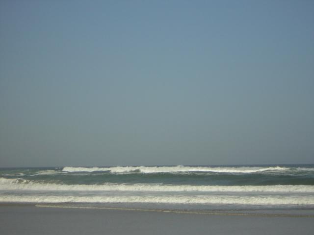 DSCN0269.jpg