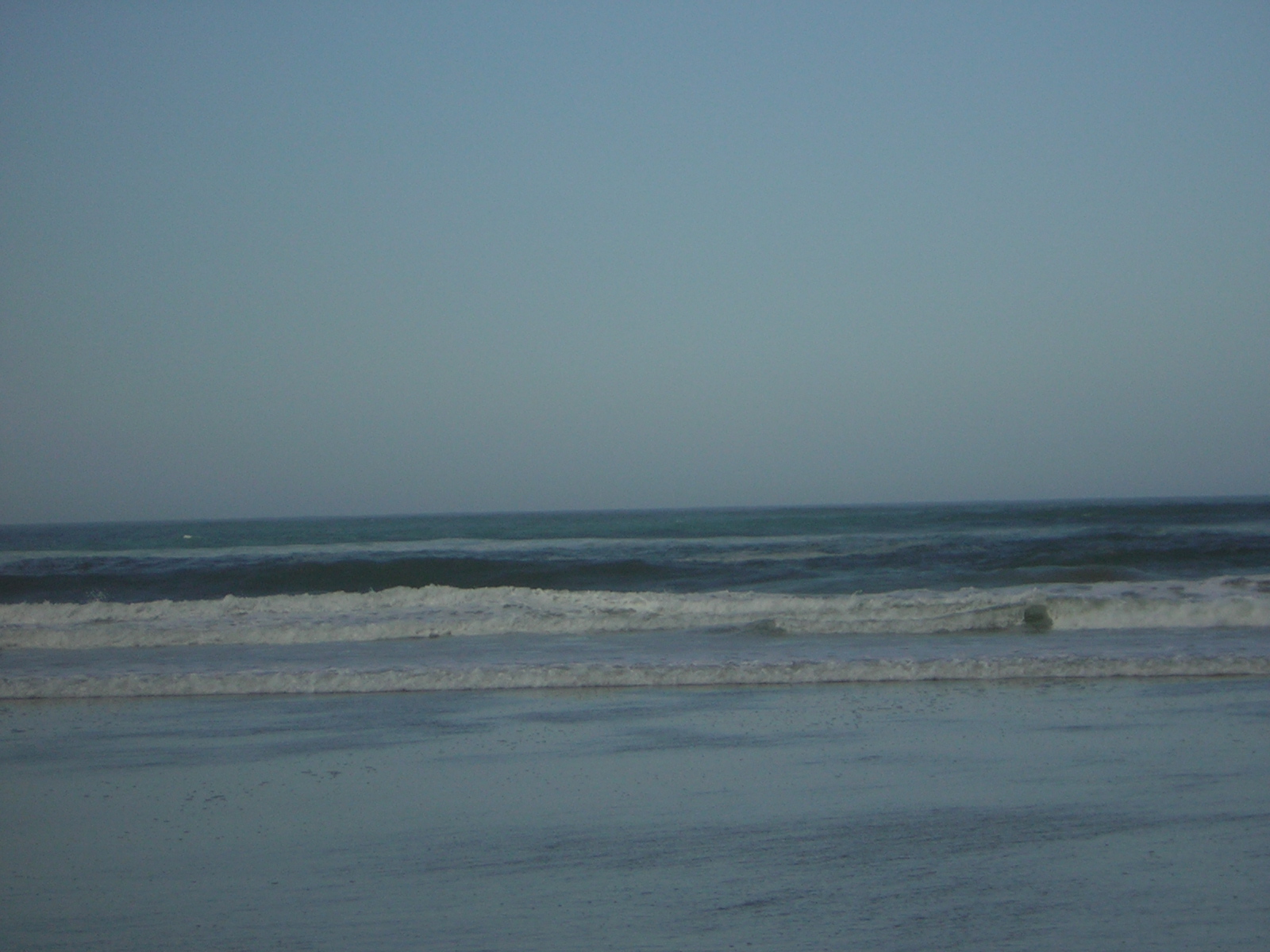DSCN0270.jpg