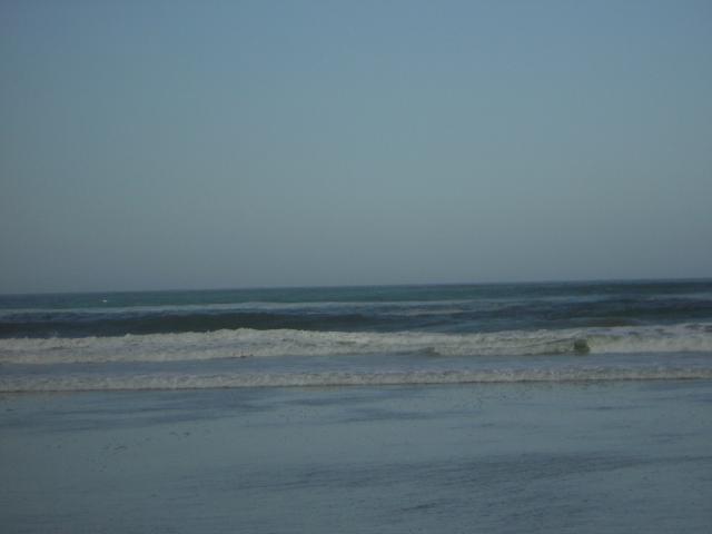 DSCN0270.jpg