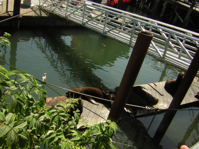 DSCN0271.jpg