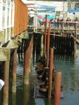 DSCN0272.jpg