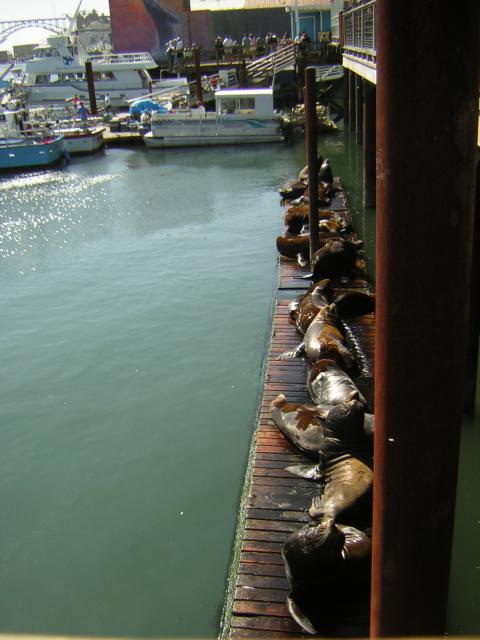 DSCN0273.jpg