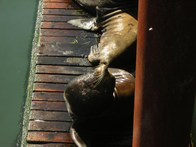 DSCN0274.jpg