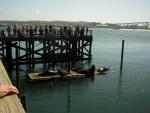 DSCN0277.jpg