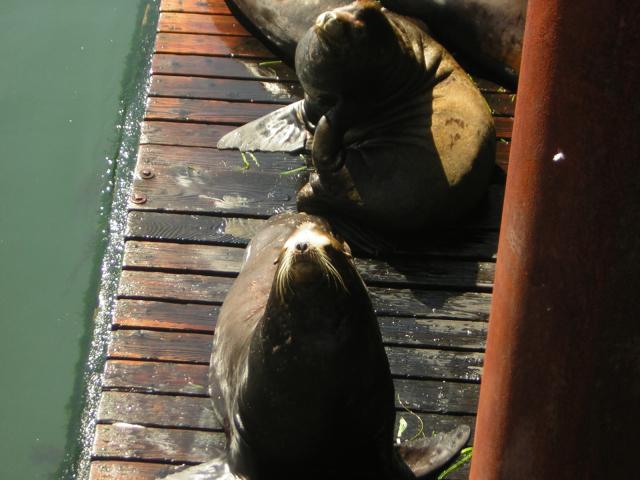 DSCN0278.jpg
