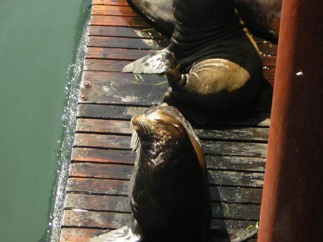 DSCN0279.jpg