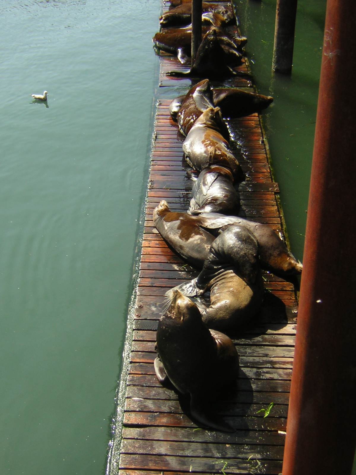 DSCN0280.jpg
