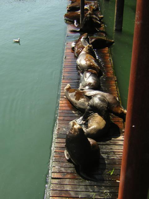 DSCN0280.jpg