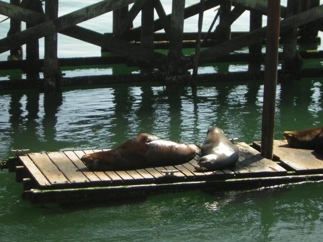 DSCN0282.jpg