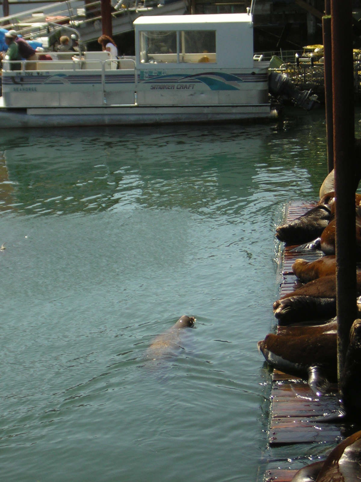 DSCN0283.jpg