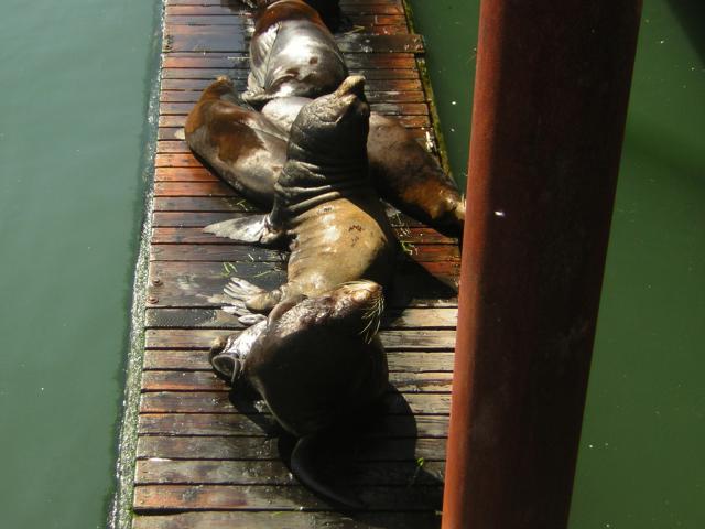 DSCN0284.jpg