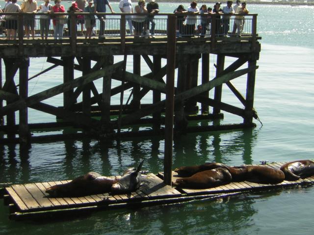 DSCN0285.jpg
