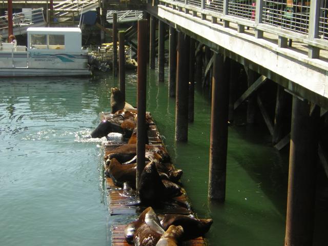 DSCN0287.jpg