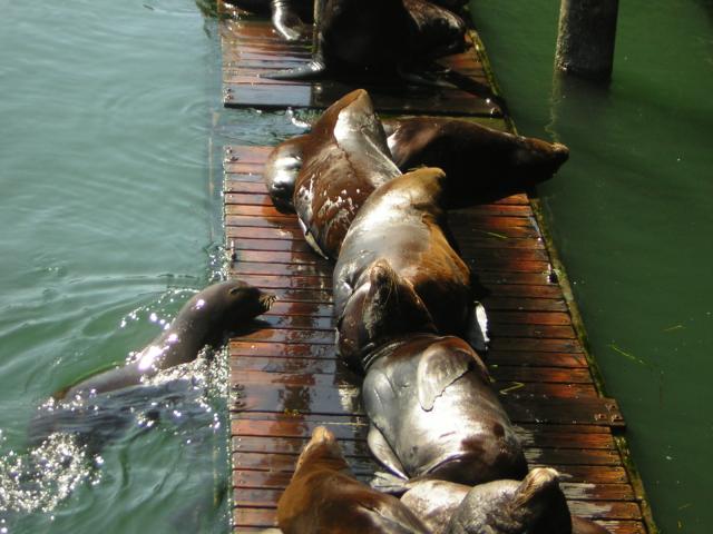 DSCN0288.jpg